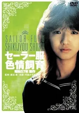 电影《从你的全世界路过》海报